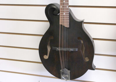 Banjos and Mandolins for Sale