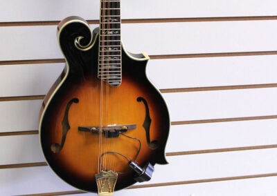 Banjos and Mandolins for Sale