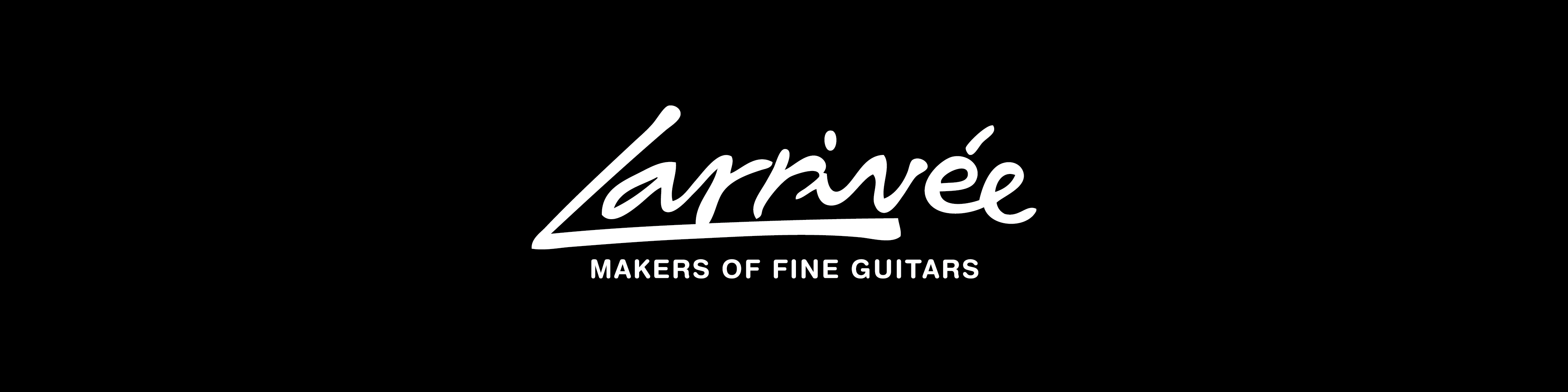 Acoustic Guitar Brands For Sale
